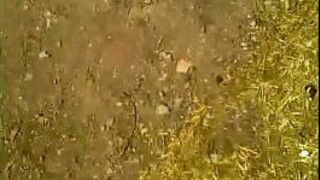 Upskirt Vecina Rica - porn video