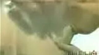 sexy stori - porn video