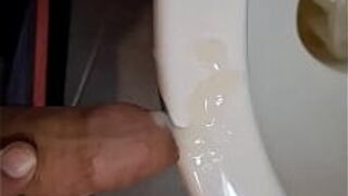 Yequis dirty the toilet with semen - porn video